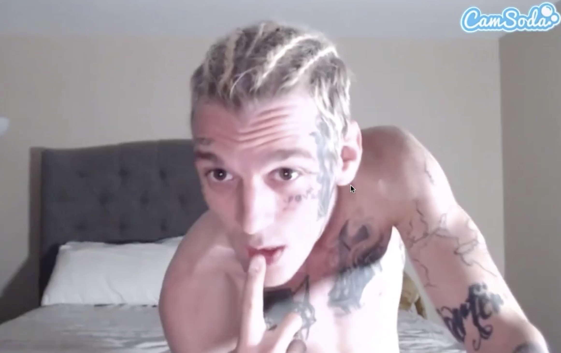 Aaron Carter Is Selling His Nudes On Onlyfans.